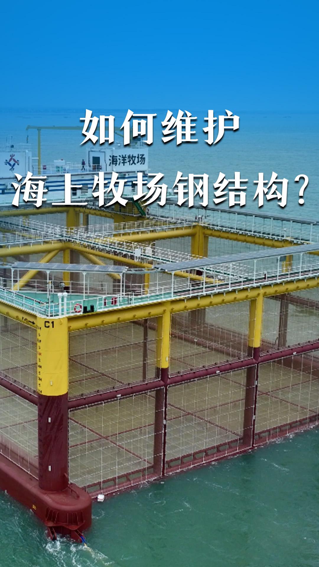 如何維護(hù)海上牧場(chǎng)鋼結(jié)構(gòu)？